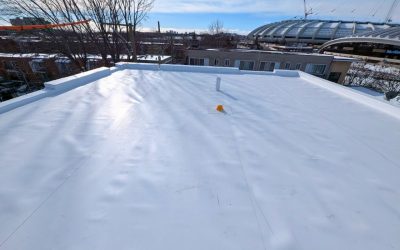 Membrane TPO vs PVC : Quelle est la meilleure option pour votre toiture commerciale ?